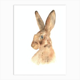 Hare 2 Art Print