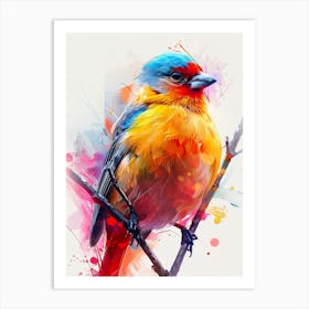 Colorful Bird 6 Art Print