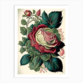 Rose Floral 3 Botanical Vintage Poster Flower Art Print