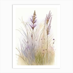 Prairie Dropseed Wildflower Watercolour 2 Art Print