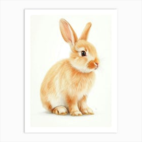 Chinchilla Rabbit Nursery Illustration 2 Art Print
