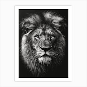 Barbary Lion Charcoal Drawing Portrait Close Up 4 Art Print