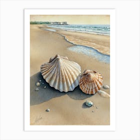 Shells On The Beach 1 Art Print