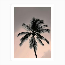 Silhouette Of Palm Tree Art Print