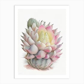 Acanthocalycium Cactus Pastel Watercolour 2 Art Print