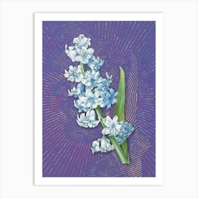Vintage Oriental Hyacinth Botanical Illustration on Veri Peri Art Print