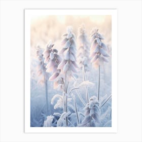 Frosty Botanical Aconitum 4 Art Print