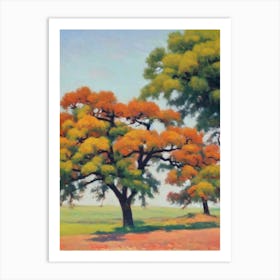 Chinkapin Oak Tree Watercolour Art Print