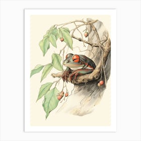 Storybook Animal Watercolour Red Eyed Tree Frog Art Print