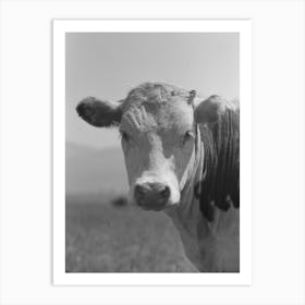 Yearling, Cruzen Ranch, Valley County, Idaho By Russell Lee Art Print