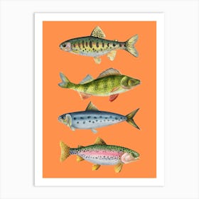 Fishes On A Orange Background Print Art Print