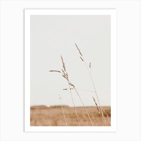 Wheat Field Art Print