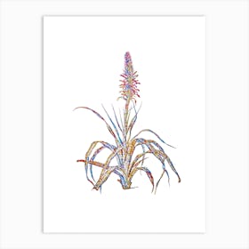 Stained Glass Pina Cortadora Mosaic Botanical Illustration on White Art Print
