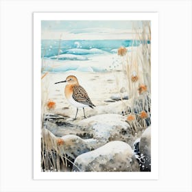 Winter Bird Painting Dunlin 3 Art Print