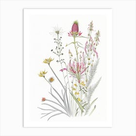 Queen Of The Prairie Floral Quentin Blake Inspired Illustration 1 Flower Art Print