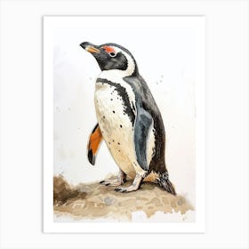 Humboldt Penguin Floreana Island Watercolour Painting 1 Art Print