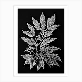 Calamint Leaf Linocut 2 Art Print