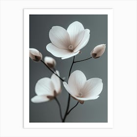 Flowers On A Gray Background Art Print