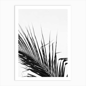 Palm Leaf In Black And White Art Print