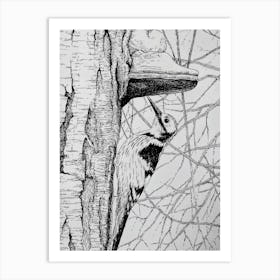 Woodpecker is at work Art Print