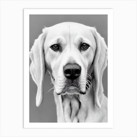 English Foxhound B&W Pencil Dog Art Print