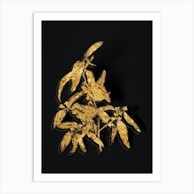 Vintage Russian Olive Botanical in Gold on Black n.0141 Art Print