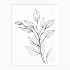 Drawing Of A Leaf 1 Art Print