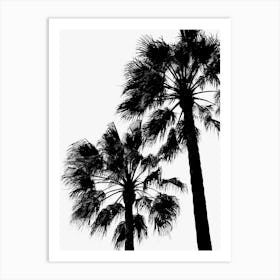 Palm Trees B&W_2251409 Art Print