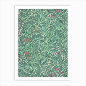 Japanese Red Pine 2 tree Vintage Botanical Art Print