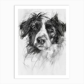 Nederlandse Kooikerhondje Dog Charcoal Line 2 Art Print