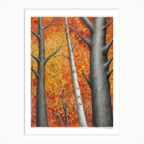 Birch Trees Art Print