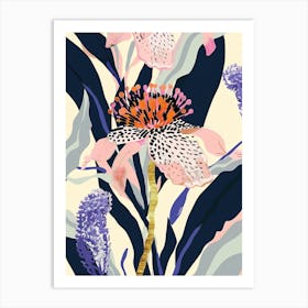 Colourful Flower Illustration Scabiosa 3 Art Print