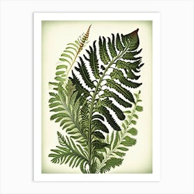 Royal Fern 3 Vintage Botanical Poster Art Print