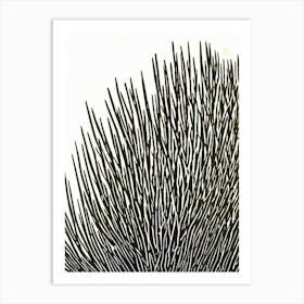 Acropora Efflorescens Linocut Art Print