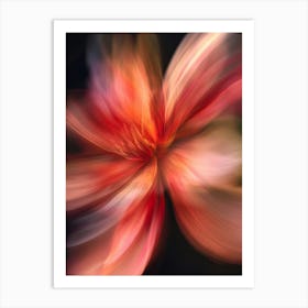 Abstract Flower 5 Art Print