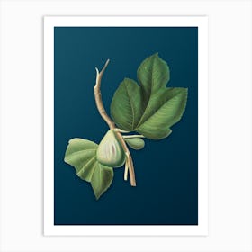 Vintage Fig Botanical Art on Teal Blue n.0373 Art Print