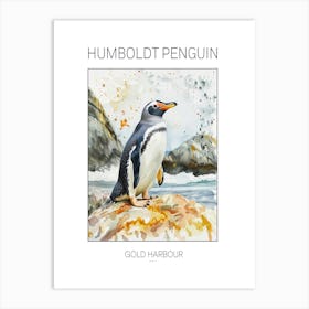 Humboldt Penguin Gold Harbour Watercolour Painting 1 Poster Art Print
