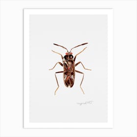 Rhyparochromus vulgaris, a dirt-colored seed bug, watercolor artwork Art Print