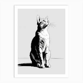 Cat Looking Up Art Print