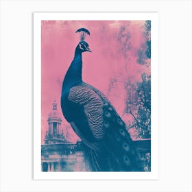 Peacock In A Palace Cyanotype Inspired 1 Art Print