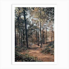 Path In The Woods Art Print