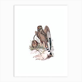 Vintage Square Tailed Kite Bird Illustration on Pure White Art Print