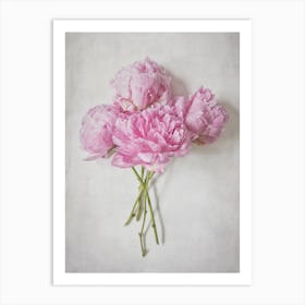Pink Peonies Bouquet  Art Print