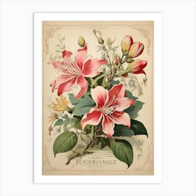 Spring Floral French Poster Honeysuckle Art Print 1 Art Print