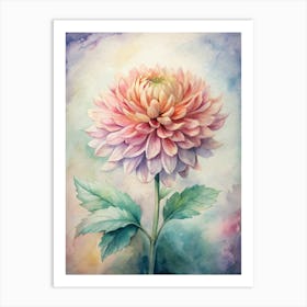 Dahlia 7 Art Print