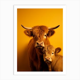 Yellow Photographic Portrait Of Highland Cow And Calf 2 Art Print