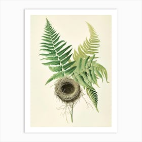 Vintage Illustration Birds Nest Fern 4 Art Print