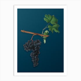 Vintage Dolcetto Grapes Botanical Art on Teal Blue n.0955 Art Print