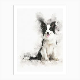 Border Collie Dog Art Print