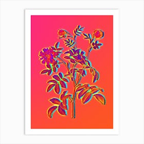 Neon Cinnamon Rose Botanical in Hot Pink and Electric Blue n.0452 Art Print